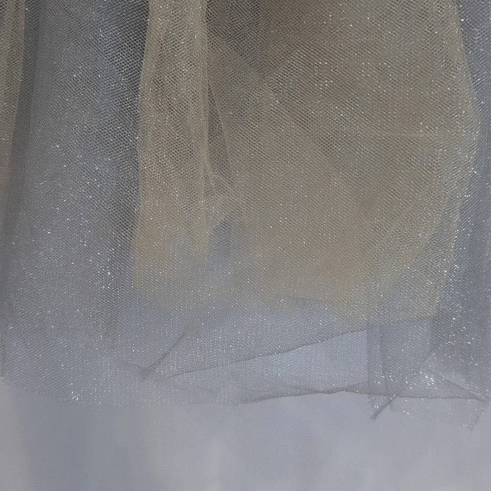 Revolution Velvet Silver and Gold Dance Costume Tutu Size Women's M - Picture 7 of 12